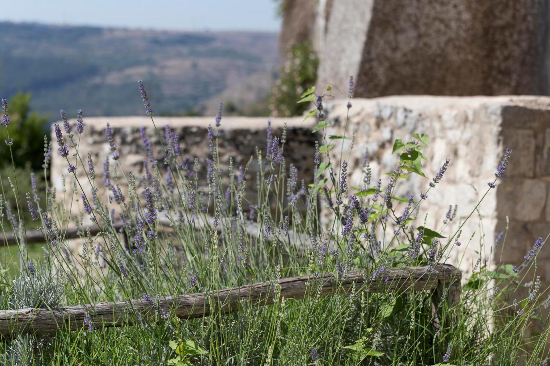 Antico Convento Dei Cappuccini Hotell Ragusa Eksteriør bilde